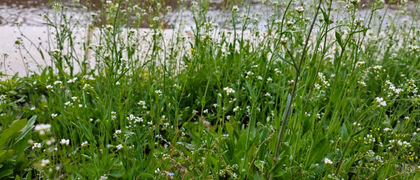 沈陽環境檢測機構詳解環境檢測服務流程