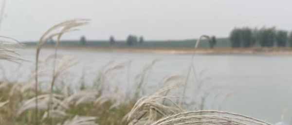 沈陽第三方水質檢測機構優勢解析：可靠，服務全面