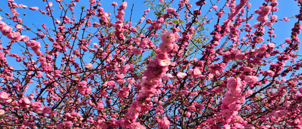 沈陽水質檢測：流程保障水質安全，每一步不可或缺